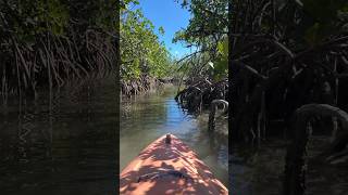 ☀️ Lucayan National Park Bahamas carnivalspirit grandbahamaisland thriftylivingtravelfreedom [upl. by Lamrouex]