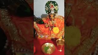 Maire laadu gopal 🥰 laddu anitakiduniya vlog [upl. by Farnsworth]