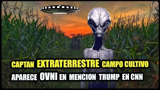 GRABAN ALEN en Campo de cultivo en Nuevo Mexico EU Y OVNI en CNN hablan de Trompas podcast [upl. by Ennis565]