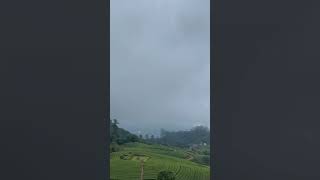 Beautiful Tea Estates in Valparai near Pollachi and Southern District of Kerala What a place 203k [upl. by Yznel]