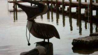 The Pelican Cottages Key Largo Florida [upl. by Annawahs]