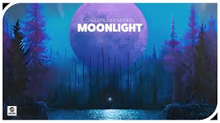 Dallerium x Markis  Moonlight Official Audio [upl. by Adis]