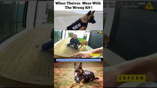 When Theives Mess With The Wrong K9  police news usa [upl. by Aubreir]