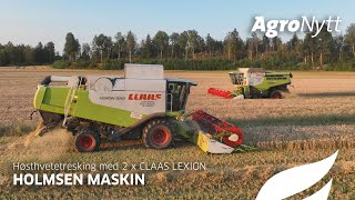 Høsthvetetresking i solnedgang med 2 x CLAAS LEXION hos Holmsen Maskin [upl. by Isahella]