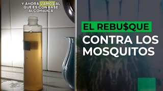 EL REBUSQUE CONTRA LOS MOSQUITOS ¿Cómo hacer un repelente casero [upl. by Amadus]