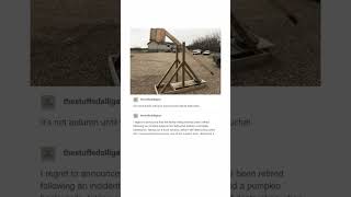 A Trebuchet Tumblr Post [upl. by Genet]