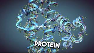 Biochemistry 1 Unlocking the Mystery How Reduced Ribosomes Impact Cell Membrane Proteins [upl. by Cordalia]