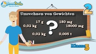 Gewicht umrechnen  kg g mg Tonne  Klasse 5 ★ Übung 2 [upl. by Nichy]