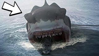 MEGALODON SHARK SIGHTINGS and FACTS [upl. by Nord]