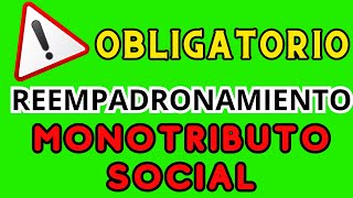 Reempadronamiento Obligatorio en Monotributo Social Todo lo Que Debes Saberquot anses noticiasanses [upl. by Patty]