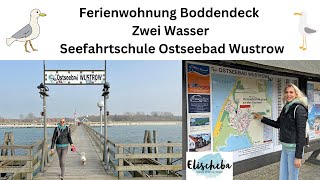 Ferienanlage Zwei Wasser  Seefahrtschule im Ostseebad Wustrow  Boddendeck Strand und Umgebung âš“ï¸ðŸš [upl. by Mor966]