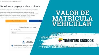 Consultar valor a pagar matrícula vehicular en el SRI [upl. by Xena350]