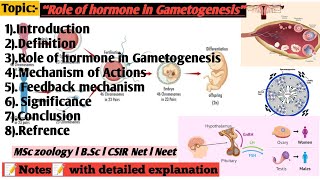 Role of hormone in Gametogenesis [upl. by Sena]