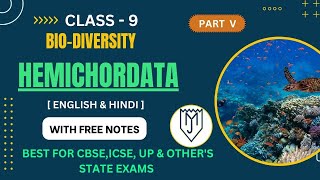 HEMICHORDATA  HEMICHORDATA PHYLUM  HEMICHORDATA IN HINDI  HEMICHORDATA ONESHOT BIODIVERSITY [upl. by Viradis994]