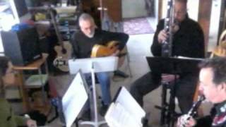 A Woodwind Trio with GuitarPedal Steel [upl. by Ettenej792]