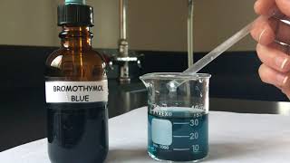 What Happen if Bromothymol Blue Respiratory Physiology [upl. by Anyrb704]