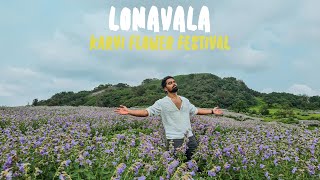 LONAVALA  Karvi Flower Festival [upl. by Lalage]