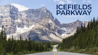 Top Sights on the Icefields Parkway  2 Days in Jasper National Park [upl. by Nezam]