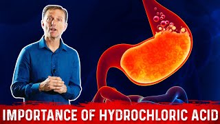 The Importance of Hydrochloric acid HCL in the Stomach – Dr Berg [upl. by Ahmar]