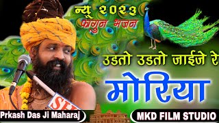 Fagan Bhajan 2023 Prkash Das Ji Maharaj  उड़तो उड़तो जाईजे मोरिया  Moriya Rajsthani Bhajan [upl. by Niarda]