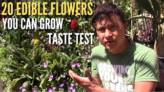 20 Edible Flowers You Can Grow amp Eat Taste Test [upl. by Earla]