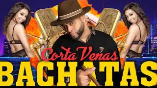 BACHATAS CORTA ✂️VENAS MIX 2019 [upl. by Werda]