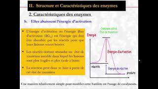 Structure et Caractéristiques des enzymes Cours Enzymologie partie 1 2 [upl. by Stolzer131]