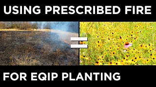 Prescribed Fire Tips  Using Fire For EQIP Planting Prep [upl. by Gerlac322]