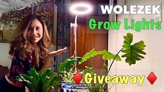 Stylist Indoor GROW LIGHT 65” Adjustable WOLEZEK  Giveaway Edition [upl. by Allicserp]