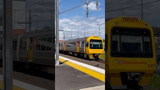 Caboolture SMU229246 passing Carseldine station with horns [upl. by Eceela]