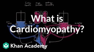 What is cardiomyopathy  Circulatory System and Disease  NCLEXRN  Khan Academy [upl. by Wallraff]