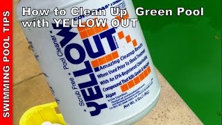 How to Clean a Green Pool Updated Version  Using YELLOW OUT [upl. by Nrobyalc771]