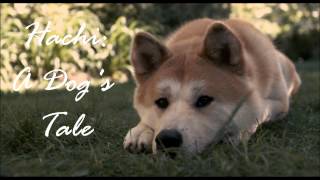 Hachi A Dogs Tale  Goodbye [upl. by Yesmar]