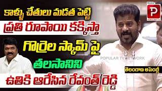 CM Revanth Reddy Mass Warning To Talasani Srinivas Yadav  Scam in Sheep Distribution  Popular TV [upl. by Inajar]