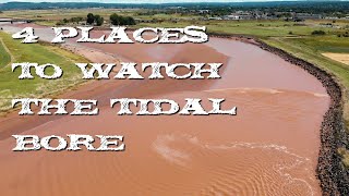 4 different angles to view the tidal bore in Truro NS Sept 2020 [upl. by Dulci]