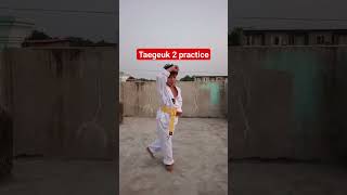 Taegeuk 2  Poomsae 2  Practice [upl. by Ititrefen710]