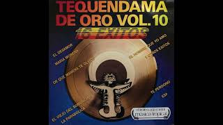 EL TEQUENDAMA DE ORO VOL 10  Varios [upl. by Olram617]