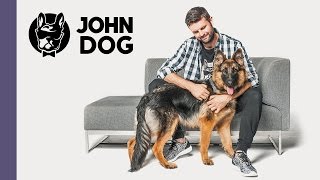 Jak nauczyć psa reagowania na komendę NIE  TRENING PSA  John Dog [upl. by Anitsuga]