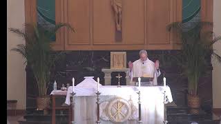 St Petronille LiveStream  Rosary amp Mass Wednesday July 17 2024 730 AM St Camillus De Lellis [upl. by Ediva]