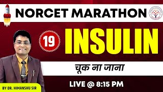 NORCET Marathon Series  INSULIN  Concept RNA  By Dr Himanshu Sir  NORCET Preparation [upl. by Vogel739]