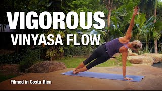 Vigorous Vinyasa Flow Yoga Class 30 min  Five Parks Yoga [upl. by Htebazila]