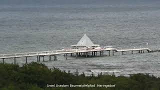 Insel Usedom Baumwipfelpfad Heringsdorf 4K Video [upl. by Aduhey532]