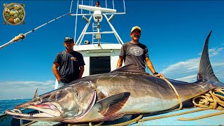 Giant Cobia fishing How fishermen make millions of dollars from cobia fishing  Emison Newman [upl. by Atsahs722]