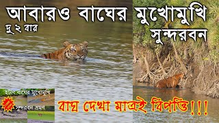 SUNDARBAN SUNDARBAN TOUR  ROYAL BENGAL TIGER  SUNDARBAN SAFARI  সুন্দরবন TIGER SUNDARBAN TIGER [upl. by Hinch]