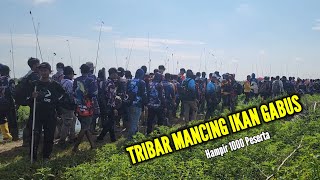 MANCING BARENG HAMPIR 1000 CASTINGER  TRIBAR P O A C yang ke 3 [upl. by Outlaw]