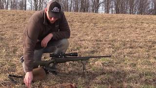 Woodchuck Deathray Returns  243 Win and 65 Creedmoor [upl. by Barnum182]