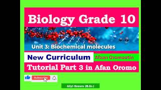 New Curriculum Biology Grade 10 Unit 3 Biochemical Molecules Tutorial Part 3 in Afan Oromo [upl. by Rafi]