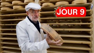 Calendrier des Fromages de la cendre dans un fromage [upl. by Lanie]