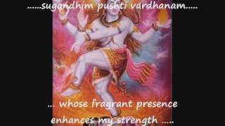 Mantra with English subtitles Sri Mrityunjaya Mantra  Rig Veda [upl. by Wanids]