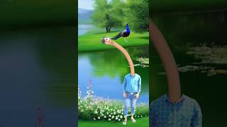 Artificial peacock water transport to rescue drought special effects funny vfx youtubeshorts yt [upl. by Ydnamron]